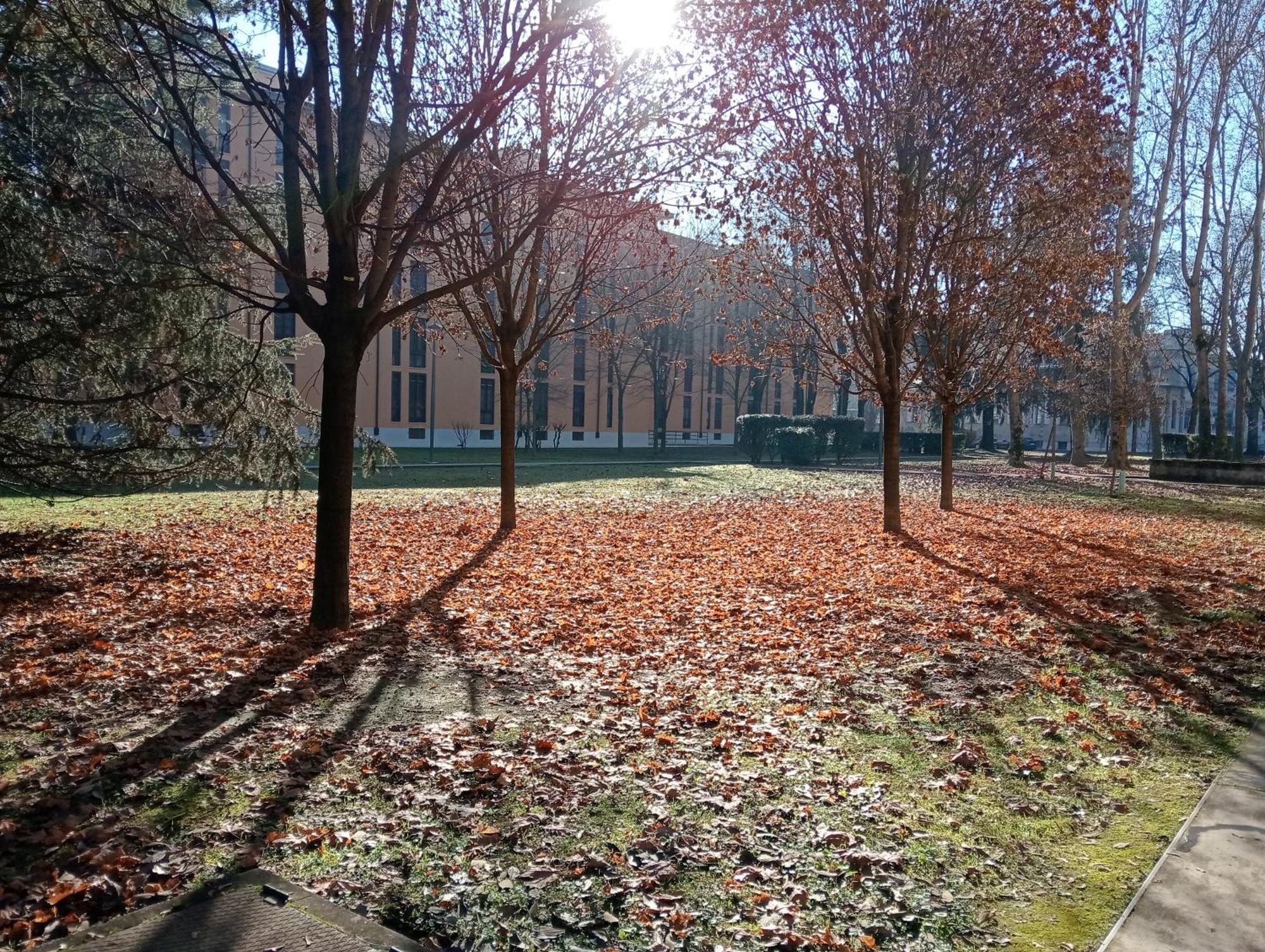 Sandonhouse Milano Сан-Донато-Міланезе Екстер'єр фото